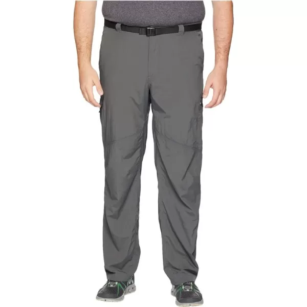 Columbia Men's Silver Ridge Cargo Pant