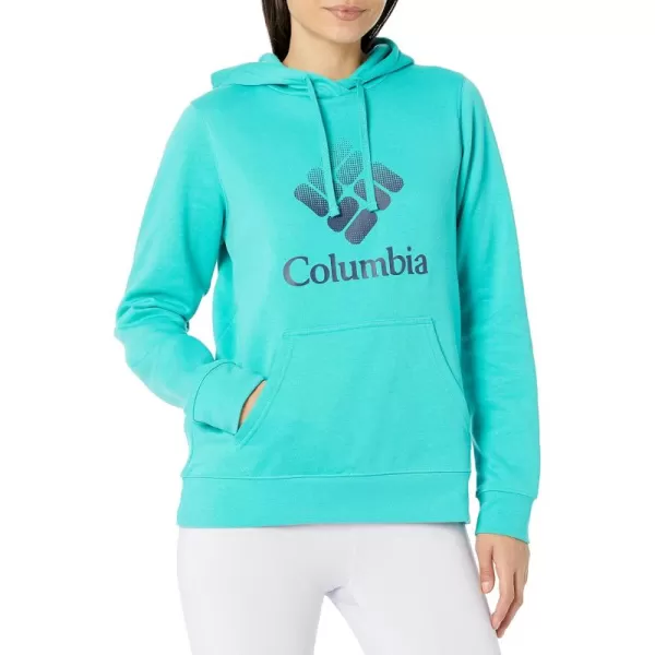 Bright Aqua/Nocturnal Csc Stacked Logo