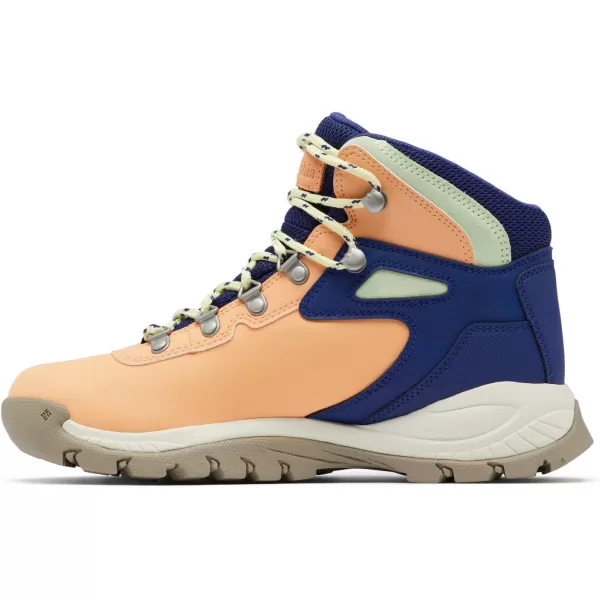 Columbia Women's Newton Ridge Lightweight Waterproof Shoe Hiking Boot