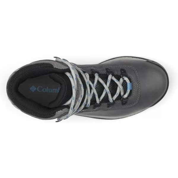 Columbia Women's Newton Ridge Lightweight Waterproof Shoe Hiking Boot