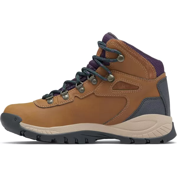 Columbia Women's Newton Ridge Lightweight Waterproof Shoe Hiking Boot