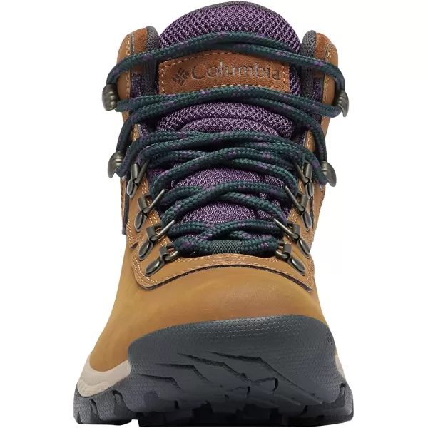 Columbia Women's Newton Ridge Lightweight Waterproof Shoe Hiking Boot