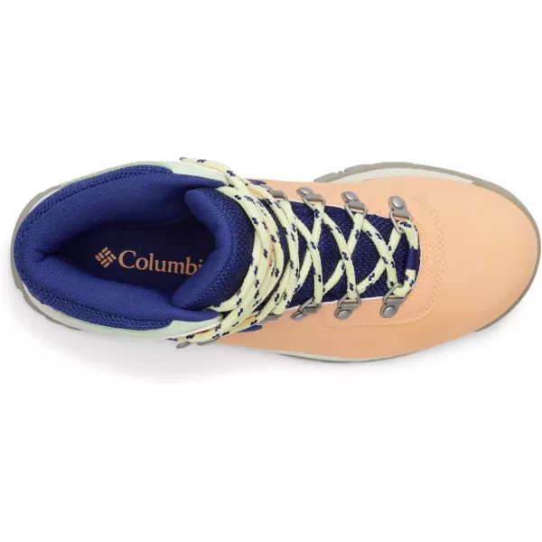 Columbia Women's Newton Ridge Lightweight Waterproof Shoe Hiking Boot