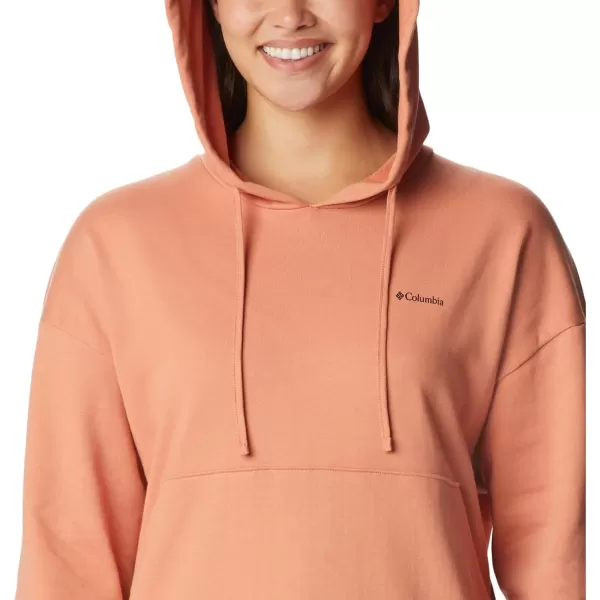 Columbia Women's Break It Down Hoodie