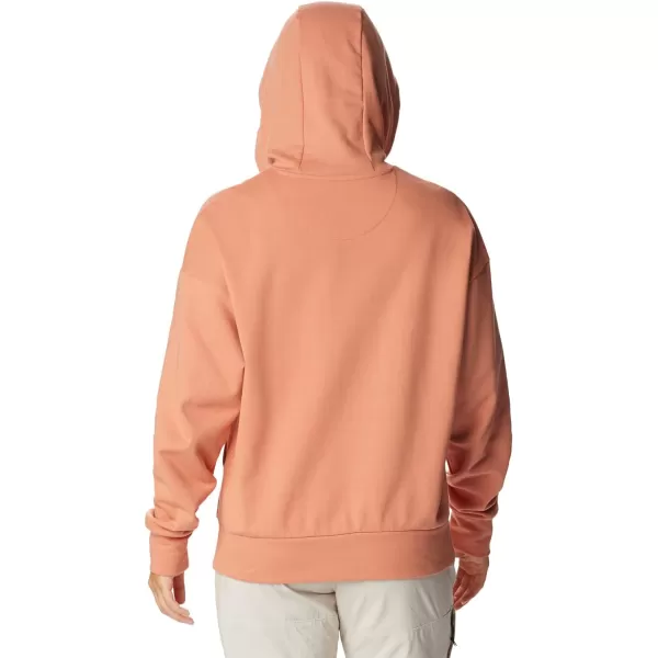 Columbia Women's Break It Down Hoodie