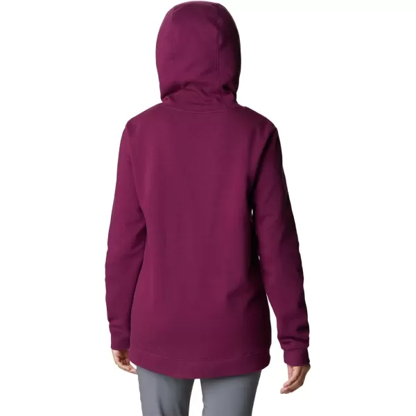 Columbia Women's Logo Ii Hoodie