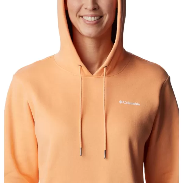 Columbia Women's Logo Ii Hoodie