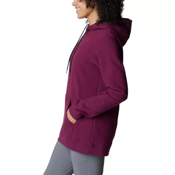 Columbia Women's Logo Ii Hoodie