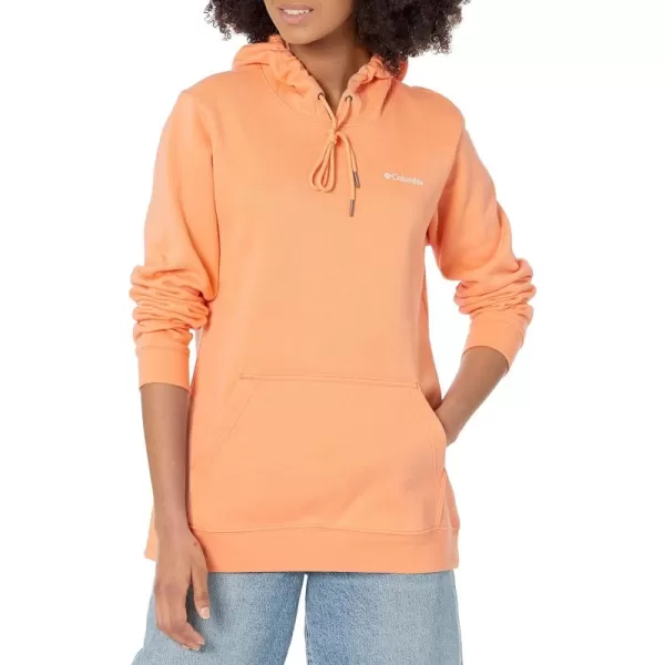 Columbia Women's Logo Ii Hoodie