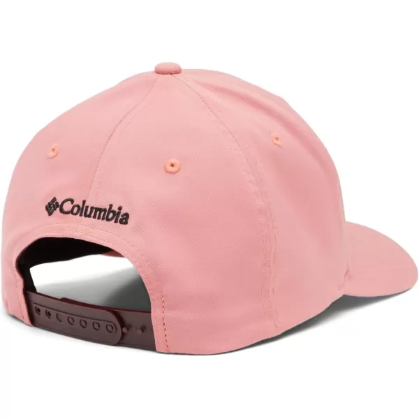 Columbia Lost Lager 110 Snap Back