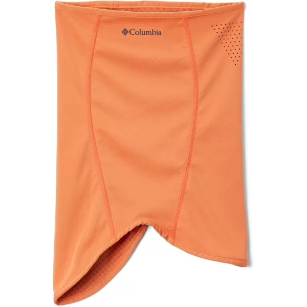 Columbia unisex-adult Freezer Zero Ii Neck Gaiter