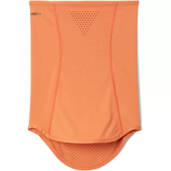Columbia unisex-adult Freezer Zero Ii Neck Gaiter