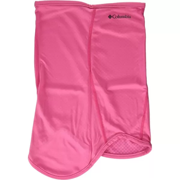 Columbia unisex-adult Freezer Zero Ii Neck Gaiter