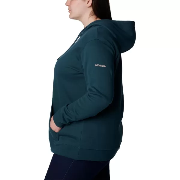 Columbia Women's Trek Graphic Treatment Hoodie