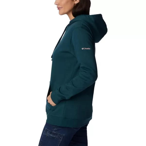Columbia Women's Trek Graphic Treatment Hoodie