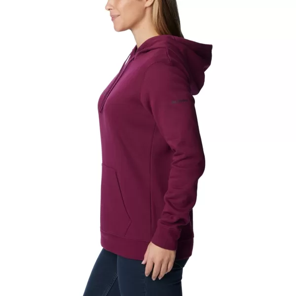 Columbia Women's Trek Graphic Treatment Hoodie