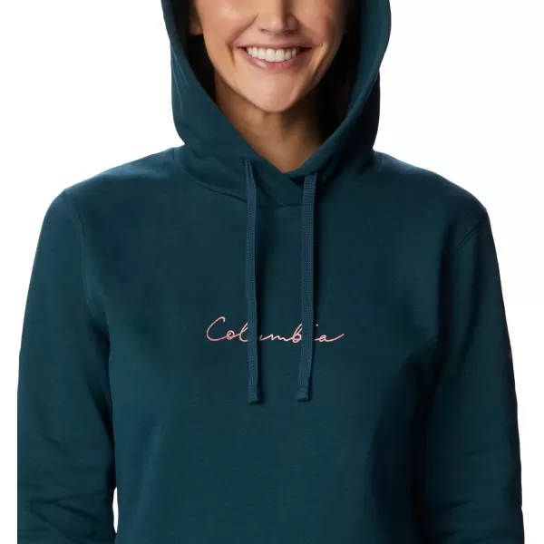 Columbia Women's Trek Graphic Treatment Hoodie