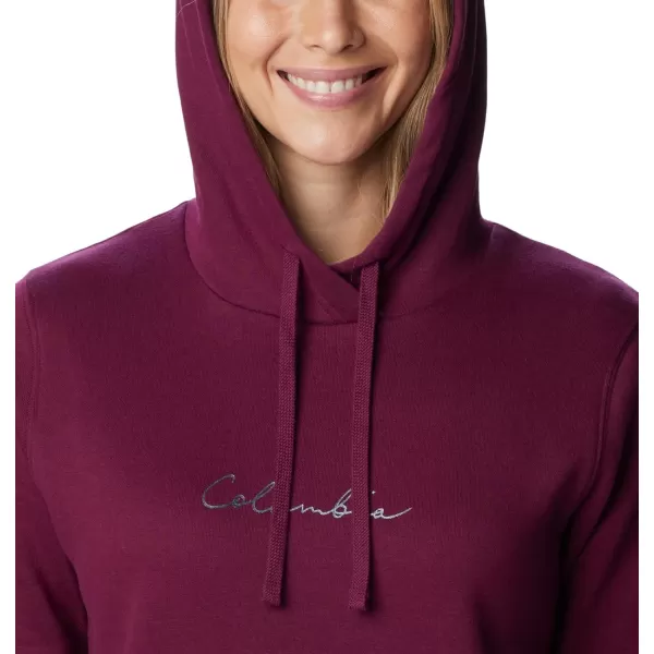 Columbia Women's Trek Graphic Treatment Hoodie
