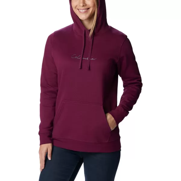 Columbia Women's Trek Graphic Treatment Hoodie