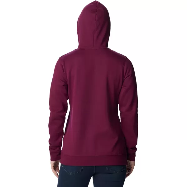 Columbia Women's Trek Graphic Treatment Hoodie
