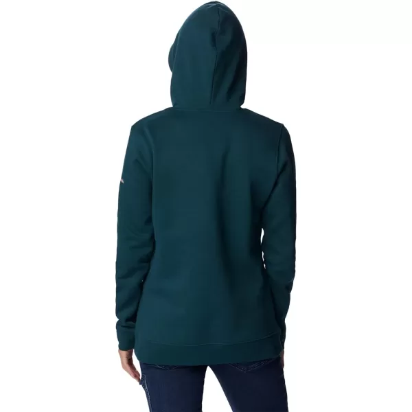 Columbia Women's Trek Graphic Treatment Hoodie