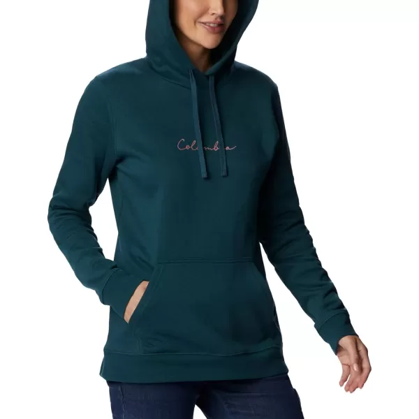 Columbia Women's Trek Graphic Treatment Hoodie