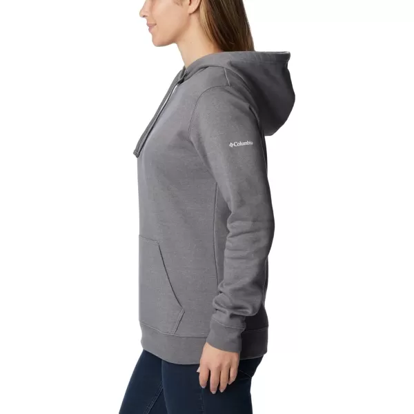 Columbia Women's Trek Graphic Treatment Hoodie