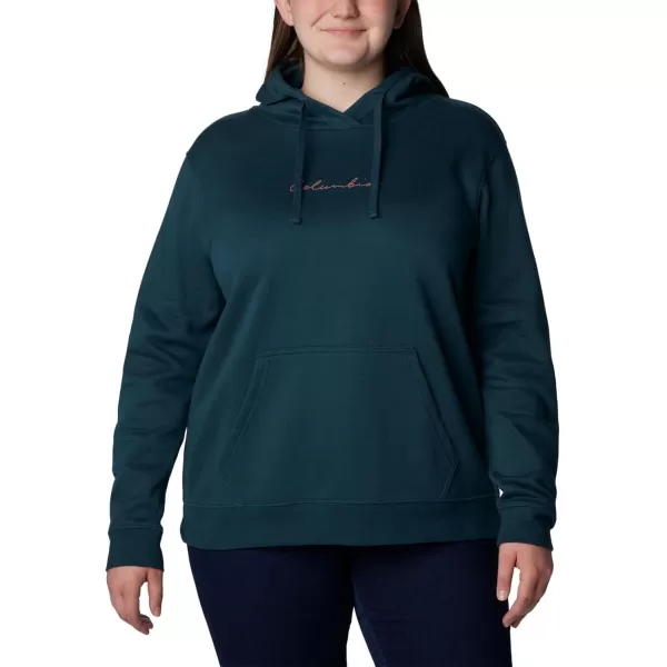 Columbia Women's Trek Graphic Treatment Hoodie