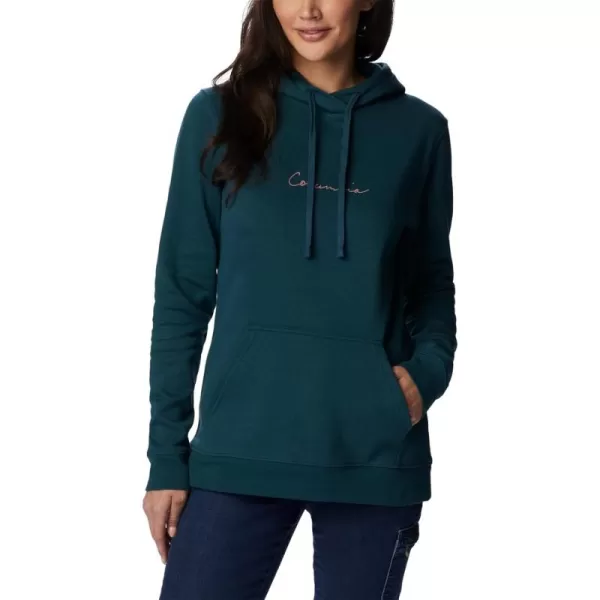 Columbia Women's Trek Graphic Treatment Hoodie