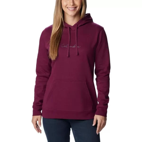 Columbia Women's Trek Graphic Treatment Hoodie