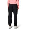 imageColumbia Womens Tidal Roamer Ii Stretch PantBlack