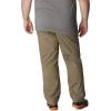 imageColumbia Mens flex roc pantSage