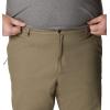 imageColumbia Mens flex roc pantSage