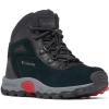 imageColumbia UnisexChild Newton Ridge Amped Hiking ShoeBlackMountain Red