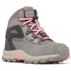 imageColumbia UnisexChild Newton Ridge Amped Hiking ShoeStratusPink Orchid