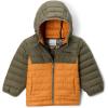 imageColumbia boys Powder Lite Ii Hooded JacketSunstoneStone Green