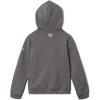 imageColumbia Boys PFG Elements HoodieCity GreyPfg Elements