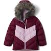 imageColumbia Girls Arctic Blast JacketMarionberryAura