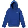 imageColumbia Youth Unisex Trek Hoodie Mountain Blue Medium
