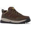 Cordovan/Golden Yellow