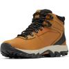 imageColumbia Mens Newton Ridge Plus II WaterproofElkBlack