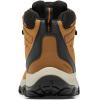 imageColumbia Mens Newton Ridge Plus II WaterproofElkBlack