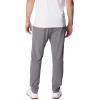 imageColumbia Mens Terminal Roamer Stretch PantCity Grey