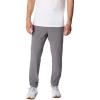 imageColumbia Mens Terminal Roamer Stretch PantCity Grey