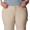 imageColumbia Womens Silver Ridge Utility Convertible PantAncient Fossil