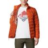 imageColumbia Mens Delta Ridge Down JacketHarvest
