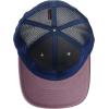imageColumbia UnisexAdult Tree Flag Mesh Ball Cap  High CrownChalkDark Mountain