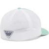 imageColumbia Unisex Adult PFG Mesh Hooks Ball CapKelpSilver