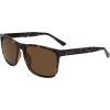 Shiny Tortoise/Brown