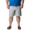 imageColumbia Mens Bonehead II ShortsCool Grey